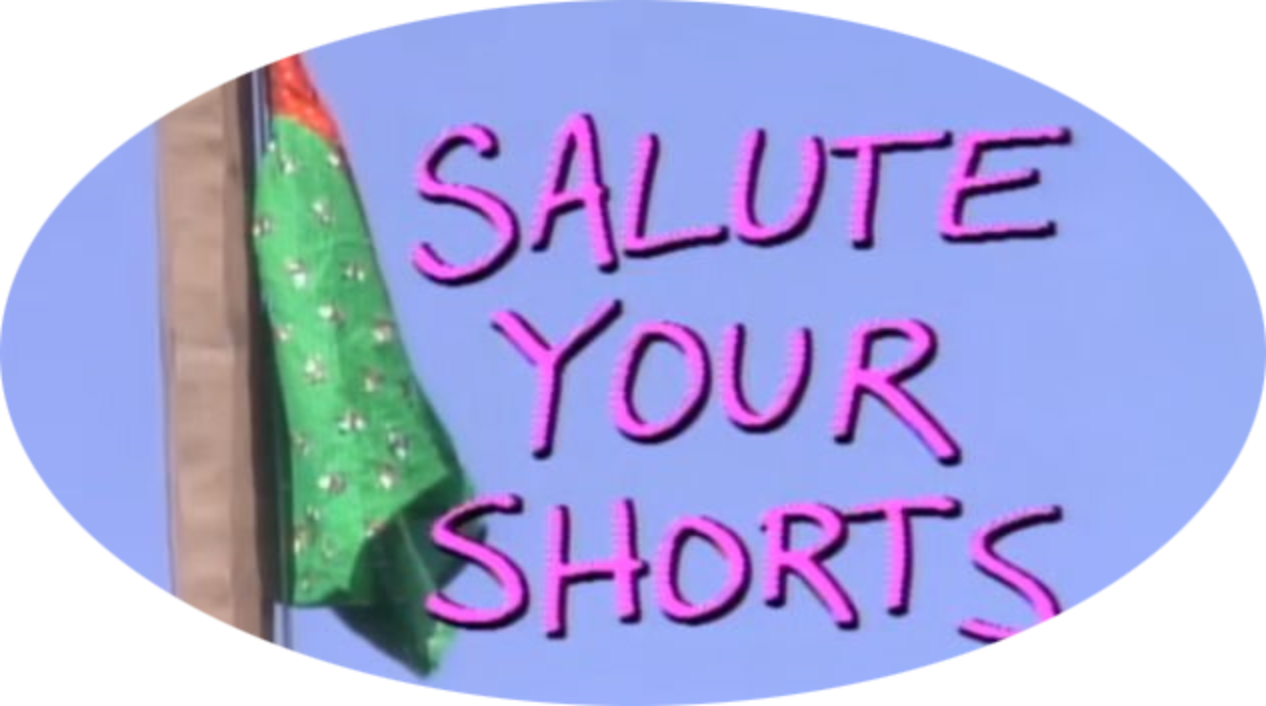 Salute Your Shorts 