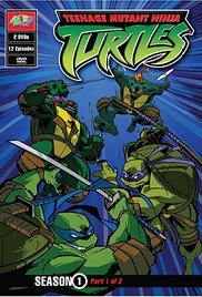 Teenage Mutant Ninja Turtles (20 DVDs Box Set)
