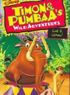 Timon Pumbaa Complete (8 DVDs Box Set)