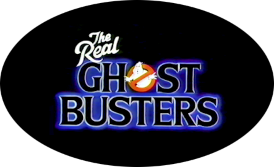The Real Ghostbusters (14 DVDs Box Set)