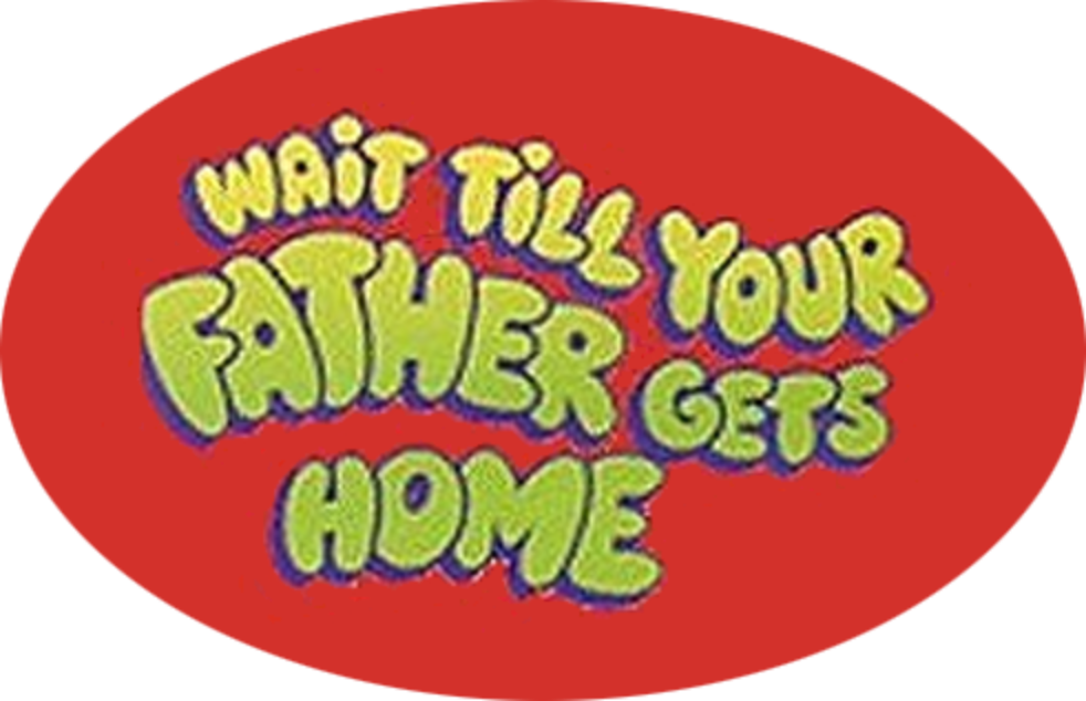 Wait Till Your Father Gets Home Complete (5 DVDs Box Set)
