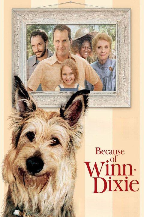 Because of Winn-Dixie (1 DVD Box Set)
